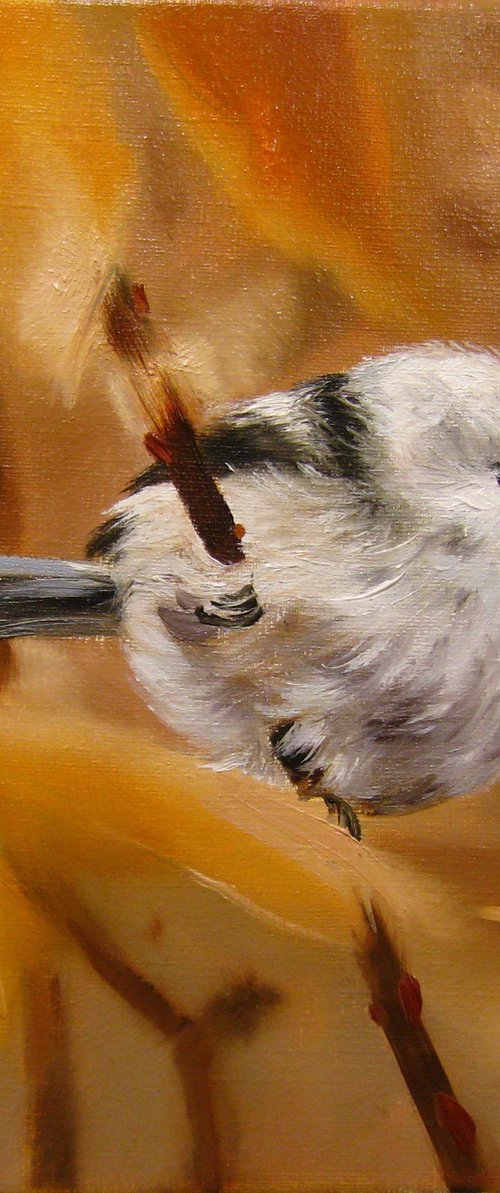 Fluffy Small White Bird by Natalia Shaykina