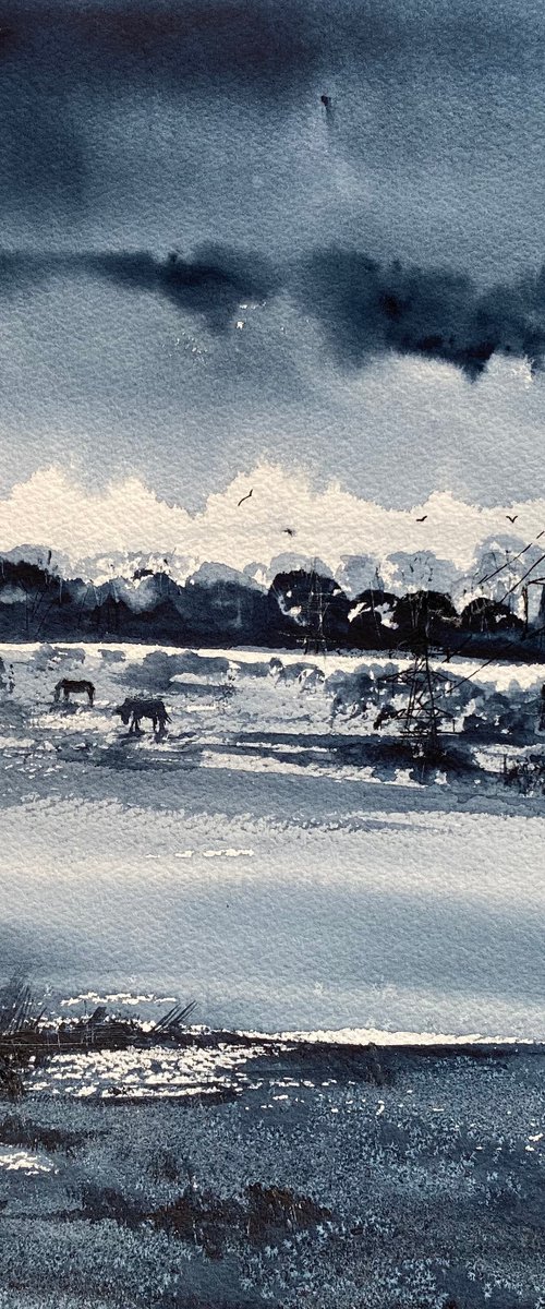 Monochrome Marshes Pylons Horses Grazing by Teresa Tanner