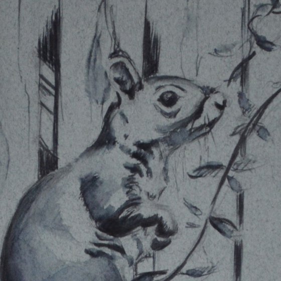 Grey Squirrel Ink Sketch