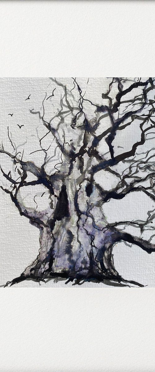 Monochrome - Winter Oak tree by Teresa Tanner