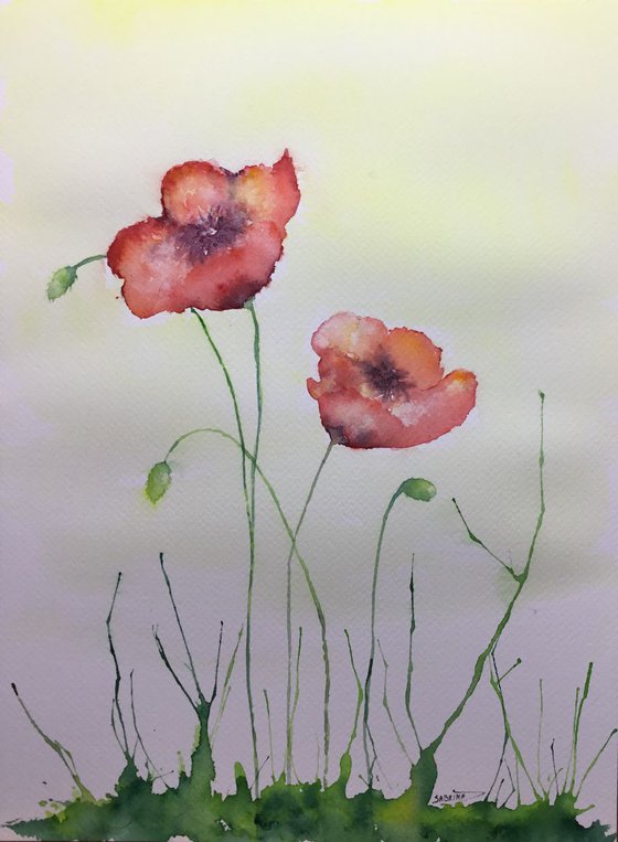 Poppies #1