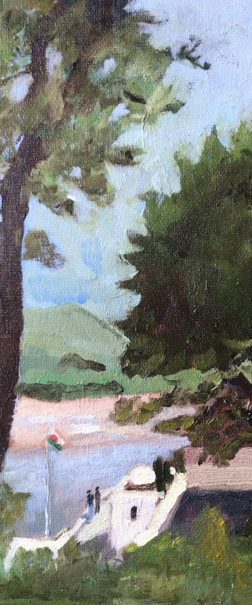 Estuary view, Portmeirion by Julian Lovegrove Art