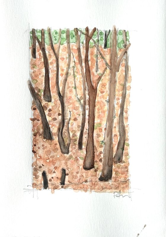 Debden woods