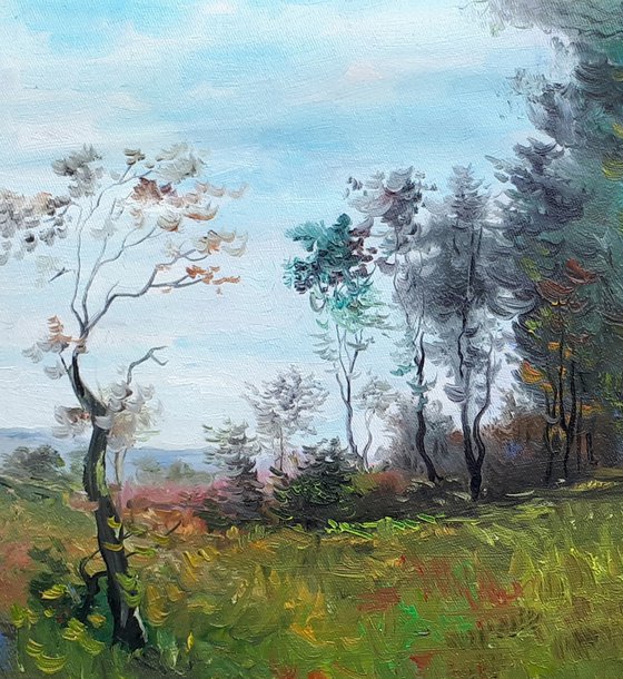 Landscape