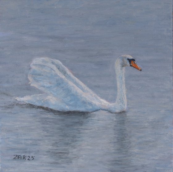 Swan
