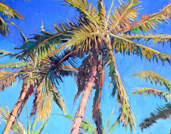 Coconut Palm Trees