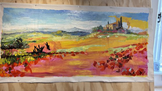 "Poppies of Tuscany.Sunny day."