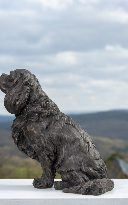 Sitting Cavalier Bronze Resin by Tanya Russell