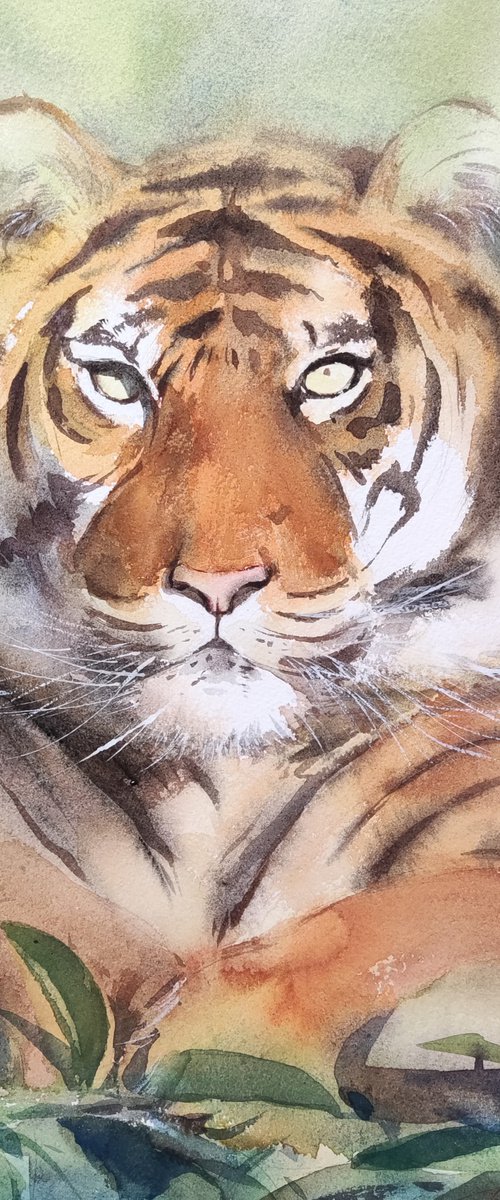 Tiger 2 by Jing Chen