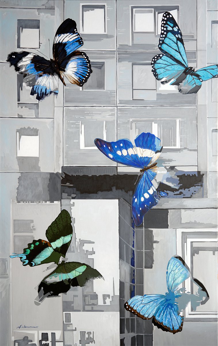 Lepidoptera (Metamorphose) by Uwe Fehrmann