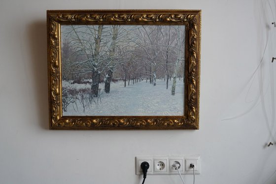 Snow-covered boulevard in Maryino