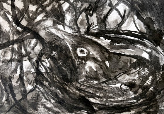 Nest