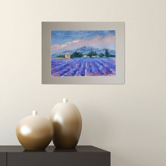 Lavender fields.