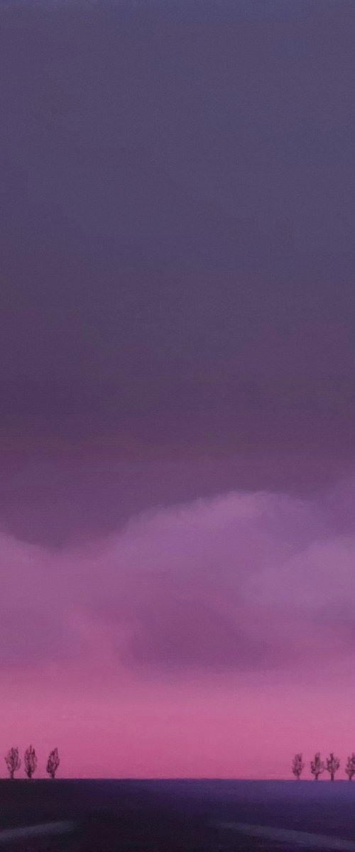 Zuid-Beveland, purple evening by Nelly van Nieuwenhuijzen