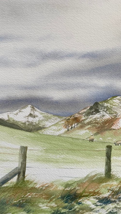 Shropshire in winter by Silvie Wright