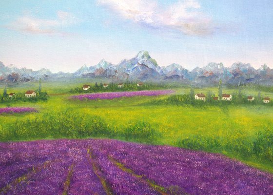 Lavender Provence