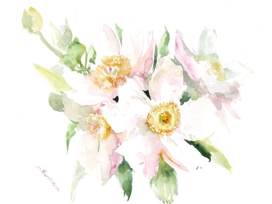 White Peony Flowers