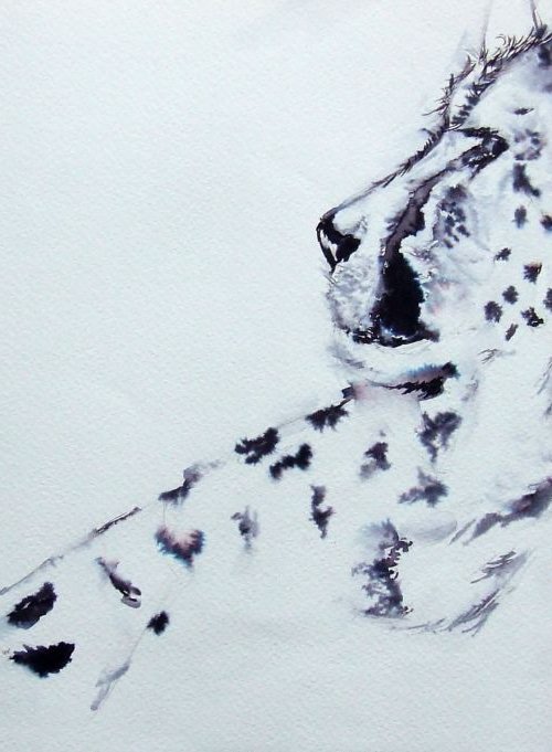 Study of Cheetah I by Anna Sidi-Yacoub