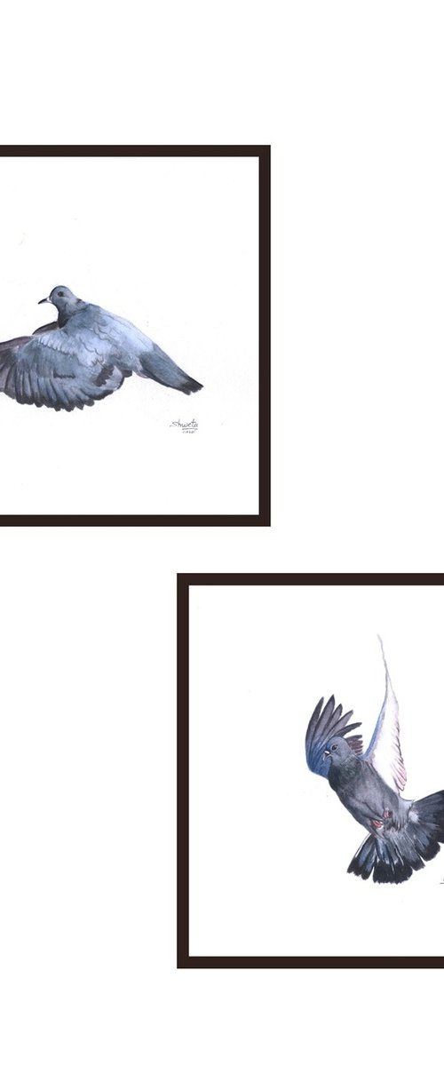 Flying Pigeons by Shweta  Mahajan