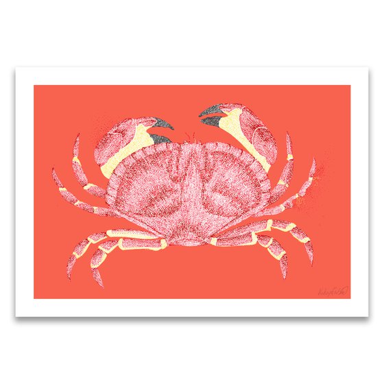 Crabbing - Crap Stippling Illustration