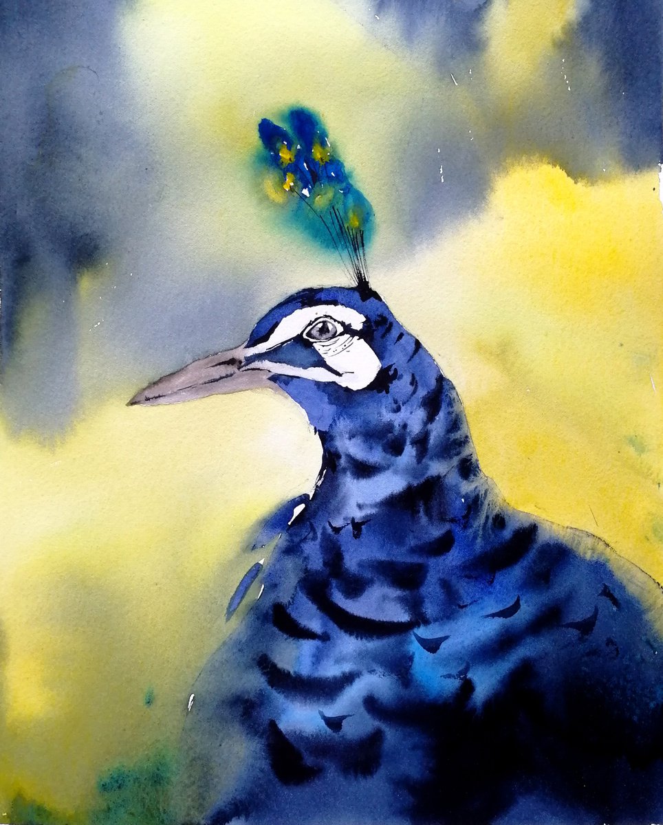 Peacock. Bird pinting by Marina Zhukova