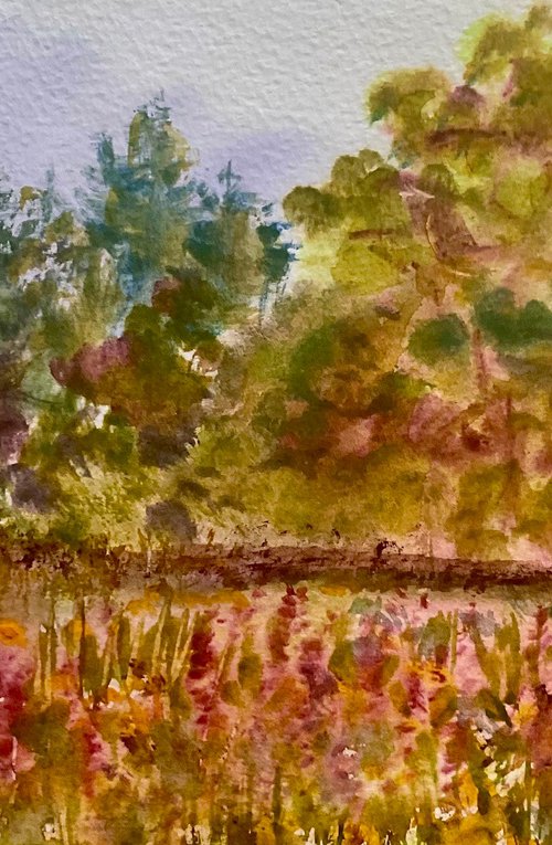 To the deep wood by Samantha Adams