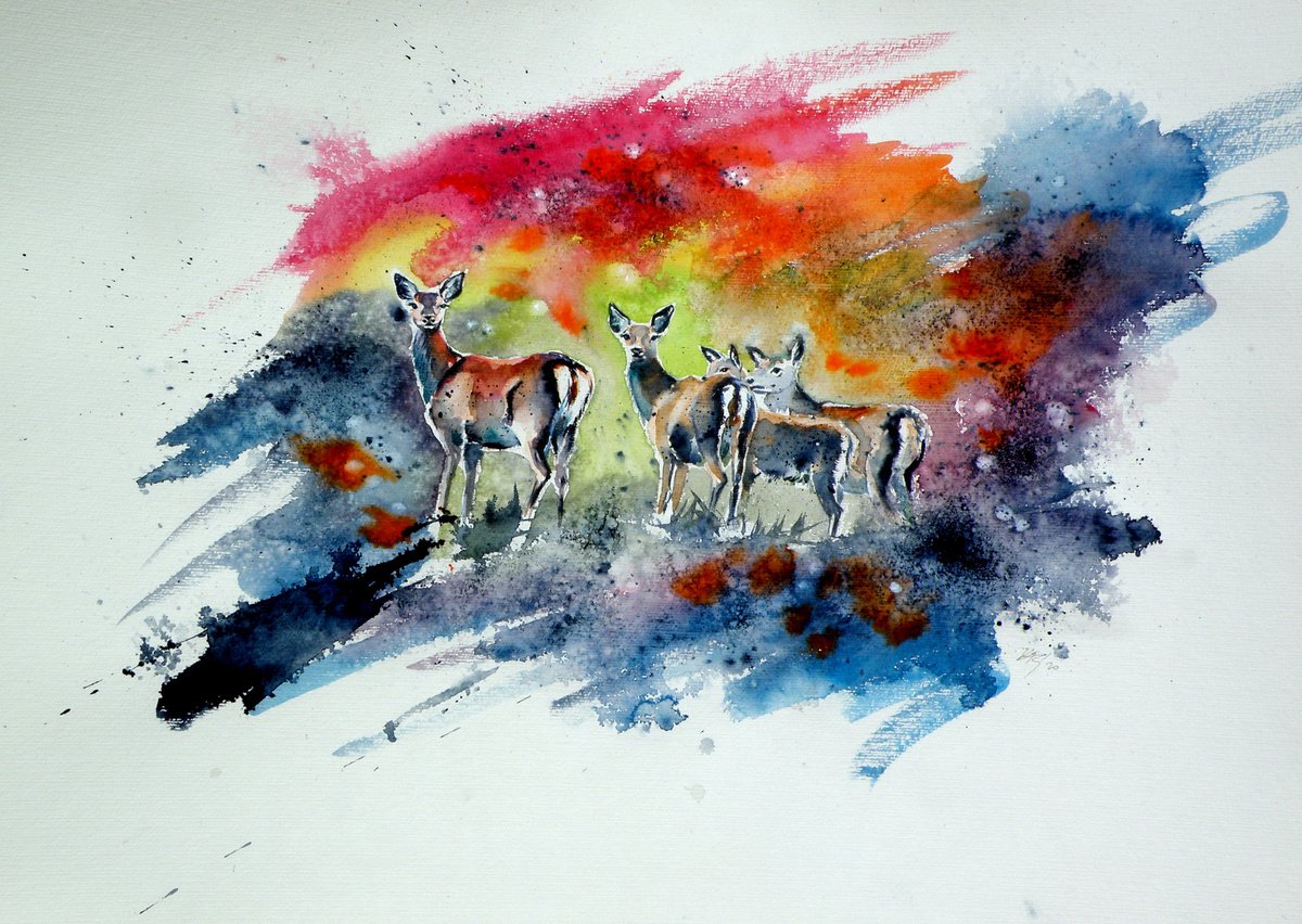 Deer in the field by Kovacs Anna Brigitta