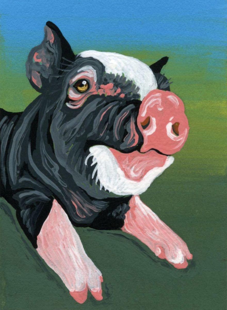 ACEO ATC Original Painting Black White Pig Pet Farmyard Art-Carla Smale by carla smale