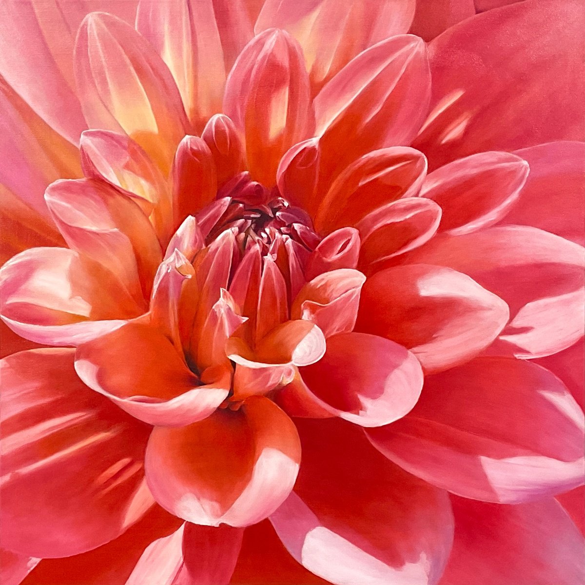Photorealistic Botanical Oil Painting By Alla Kallass, 24 X 25, Radiant Bloom. Red Dahlia, Original Artwork