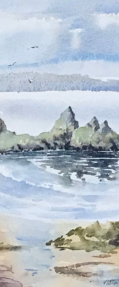 3 Cliff’s Bay,Gower by Vicki Washbourne