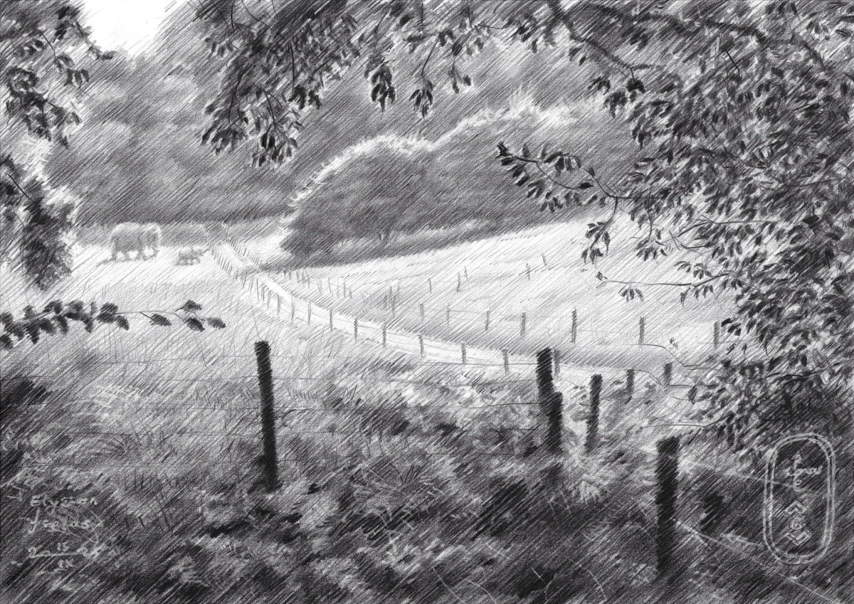 Impressionistic Landscape Pencil Drawing By Corne Akkers, 12 X 8, Elysian Fields - 15-09-25, Original Artwork