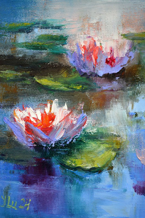 Sunny water lilies