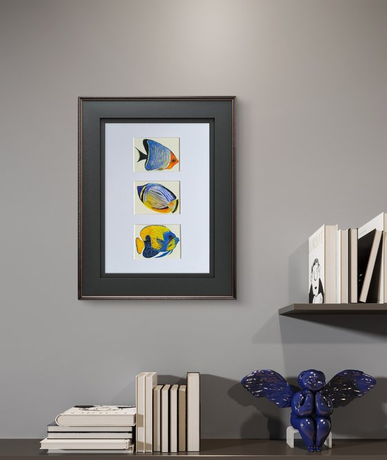 Three Exotic blue-yellow fish
