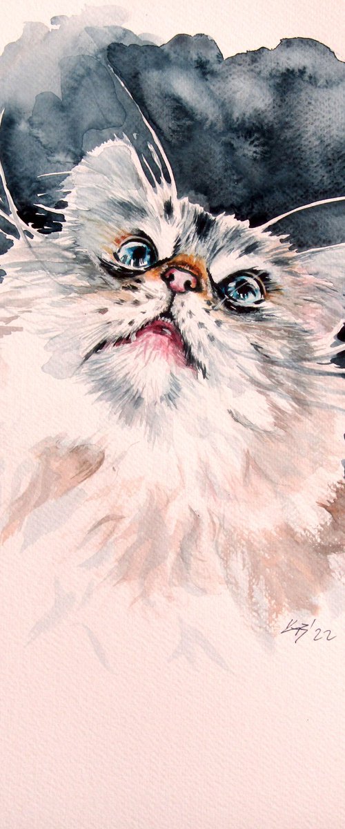 Cute cat portrait by Kovács Anna Brigitta