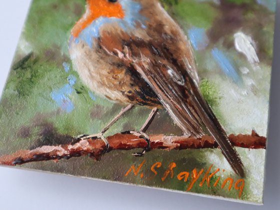 Robin Bird Painting