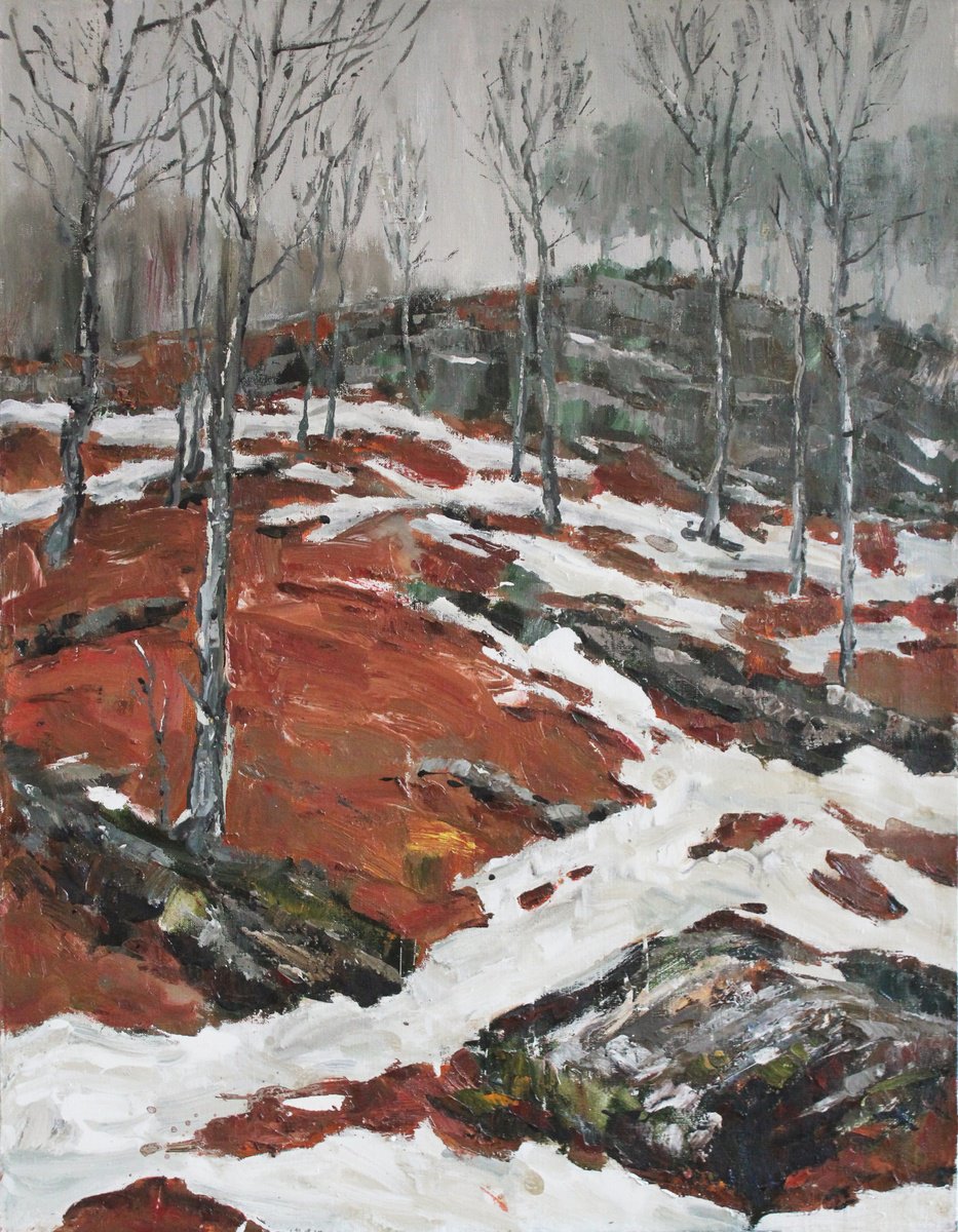 Autumn. In the forest beech trees by Alisa Onipchenko-Cherniakovska