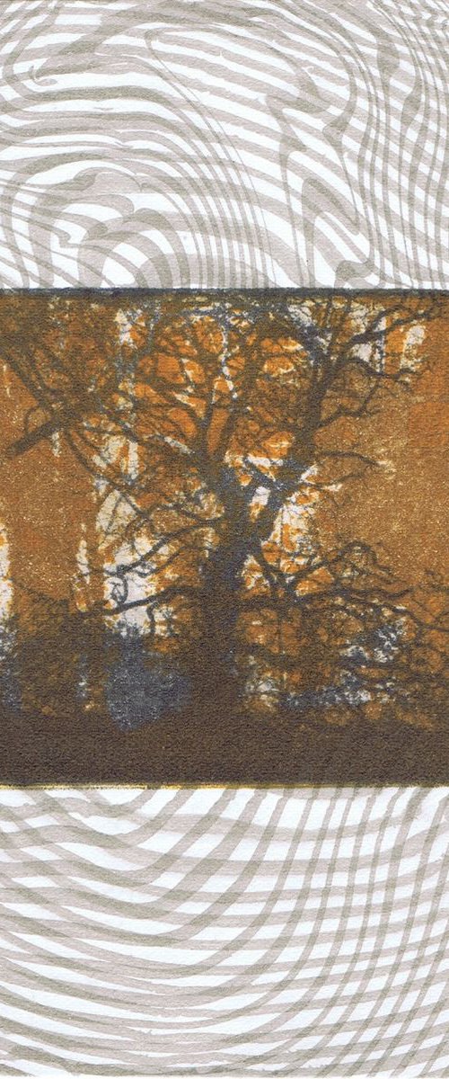 The Beautiful Trees 9 by Aidan Flanagan Irish Landscapes