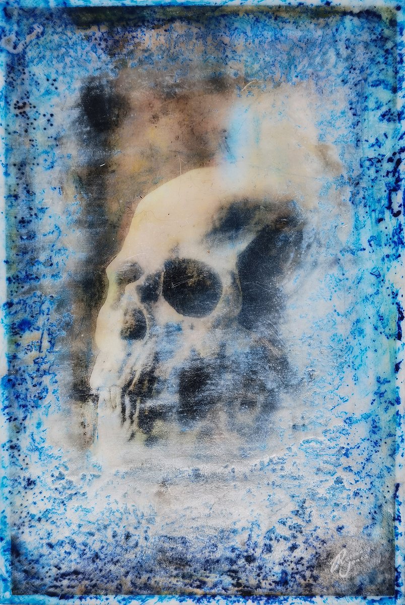 Skull Fade (Colour) by Roseanne Jones