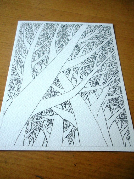 Pines