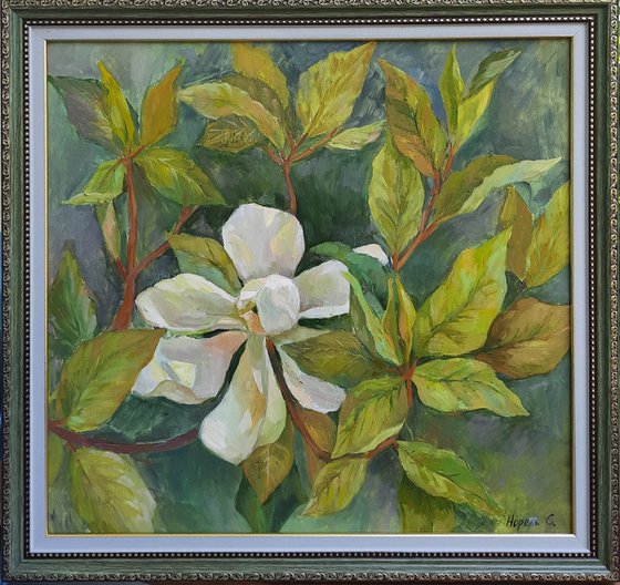 "Magnolia" - Original oil painting (2021)