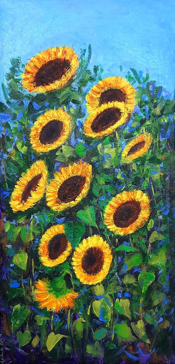 Sunflowers of Summer