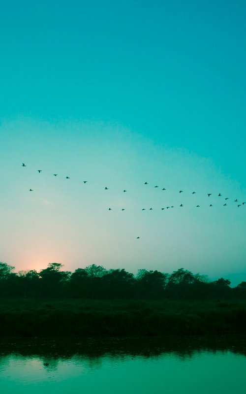 Sunset in Chitwan (Blue) by Viet Ha Tran