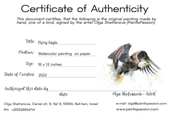Flying Eagle  -  Original Watercolor Painting by Olga Shefranov