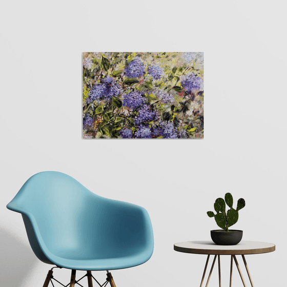 In the Spring Sunshine