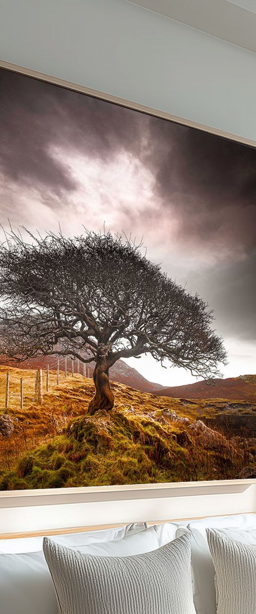 The One Tree, Isle of Skye by Lynne Douglas