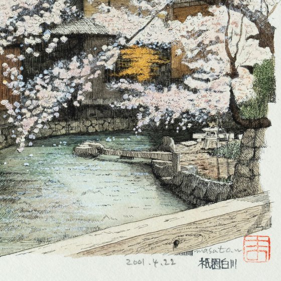 Cherry Blossoms at Shirakawa in Gion, Kyoto