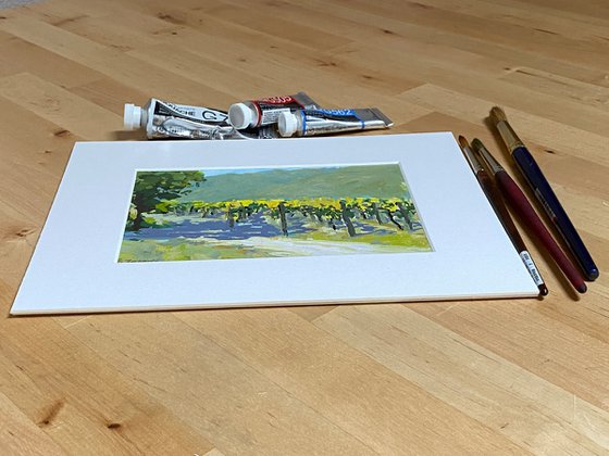 Carmel Valley Vines Landscape