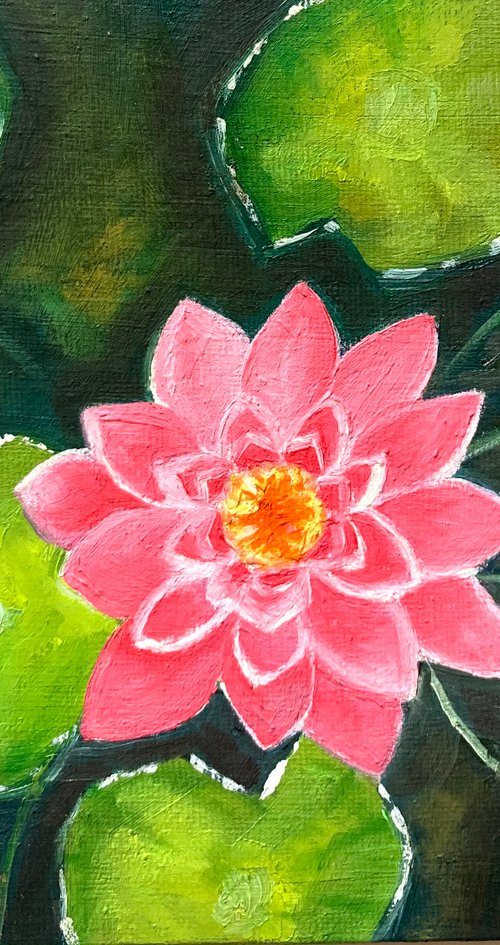 Pink water lily! Small Oil painting ! by Amita Dand