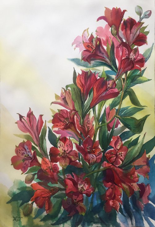 Alstroemeria flowers. Botanical painting. by Natalia Veyner