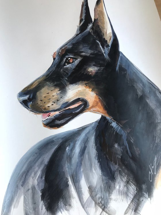 Acrylic watercolor ink painting pet portrait, Doberman Pincher, 15x21 inch